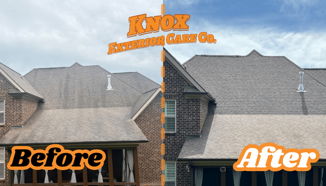 Before and after roof soft washing in Knoxville, TN
